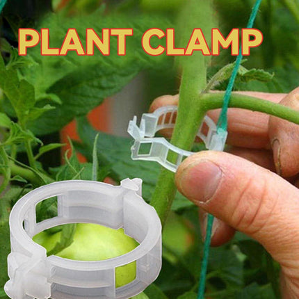 100/200/300pcs Plant Support Clips, Plant Clamps for Climbing Plants, Grafting Tools Upright Plant Growing Reusable (Green/White) Green Green 200pcs Green 200pcs.