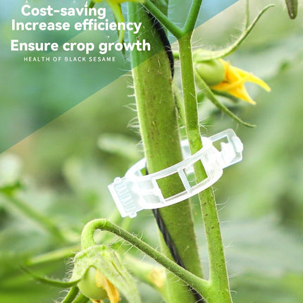 100/200/300pcs Plant Support Clips, Plant Clamps for Climbing Plants, Grafting Tools Upright Plant Growing Reusable (Green/White) Green Green 200pcs Green 200pcs.