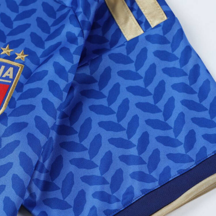 2026 FIFA World Cup Italy Home Jersey – #1 DONNARUMMA, #3 DIMARCO, #8 TONALI, #10 R.BAGGIO, #14 CHIESA, #18 BARELLA, Children/Adult Sizes, Breathable Fabric(BARELLA + SizeXXXL).
