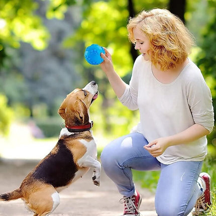 Pet Care Cartoz.