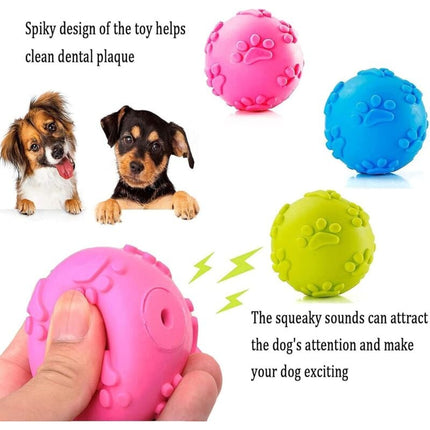 Pet Care Cartoz.