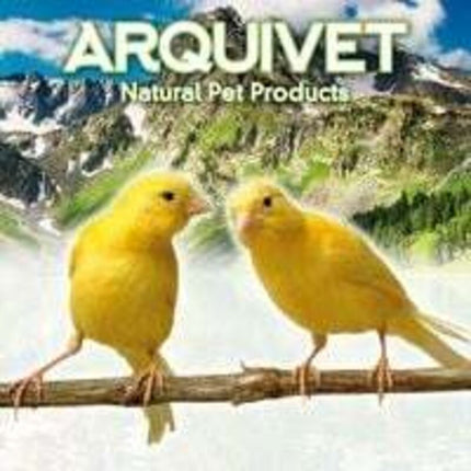Replacement Bird Cage Feeder - Bird Cage Accessories - Bird Accessories - Bird Feeders - Bird Food.