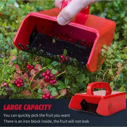 Blueberry Comb - Berry Scoop - Plastic Berry Picker Tools For Picking Raspberries, Blackberries, Blueberries And.