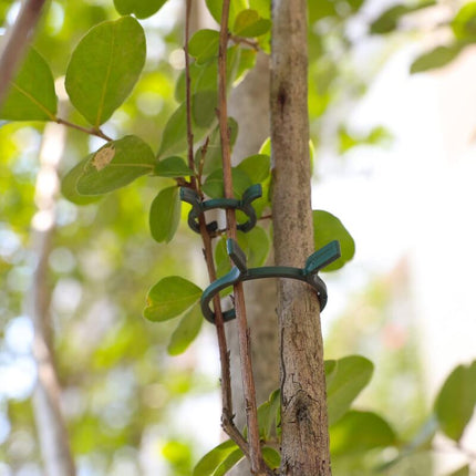 200 pcs Plant Support Clips,Plastic Plant Clips,Climbing Plant Fixing Clips,Garden Clips,For.