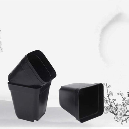 50 pcs Black Seedling Pot - Square Plastic Plant Pots - Small Indoor Outdoor Flower Pot (Black/ 6X6X6.5Cm).
