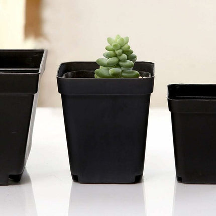 50 pcs Black Seedling Pot - Square Plastic Plant Pots - Small Indoor Outdoor Flower Pot (Black/ 6X6X6.5Cm).