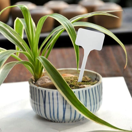 50 Pieces 15.5Cm Outdoor Plant Large Labels Outdoor Plastic Vegetable Garden, White.
