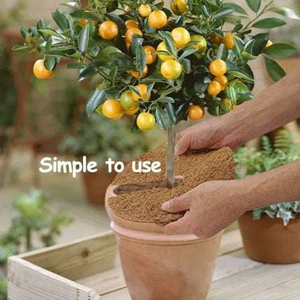 Pieces Mulching Disc, Winter Protection For Potted Plants, Plant Protection Mat, Biodegradable Coconut Mat Plants For.