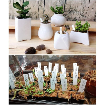 100 pcs Plastic Plant Label, White Plastic Garden Tag 10X2Cm.