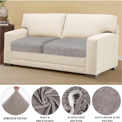 Furniture Cartoz.