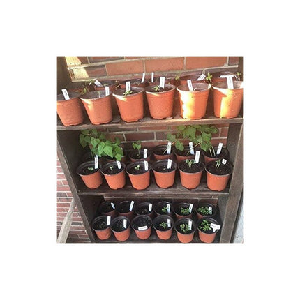 100 pcs 10Cm(Diameter) Soft Plastic Seed Pot Seedling Pot Seedling Pot.