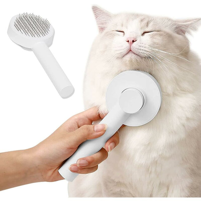 Pet Care.