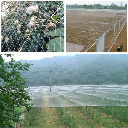 10M X 4M Anti Bird Garden Netting 2.5Cm Mesh - Protection Net For Water Pond, Fruits, Vegetables And Plants.