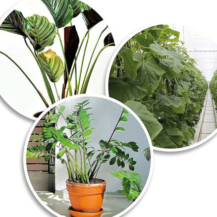 200X Green Plastic Plant Binder - Stabilize Plants - Plant Clips - Plant Stake Clip (13 Cm).
