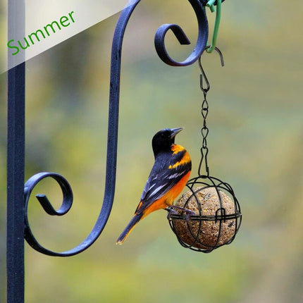 4 pcs Hanging Bird Feeders Metal Bird Fat Ball Holder Indoor Outdoor Black 7Cm Diameter Food Dispenser With 4 S-Shaped.