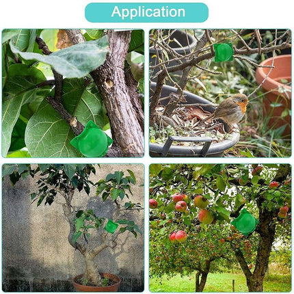 Home & Garden Cartoz.