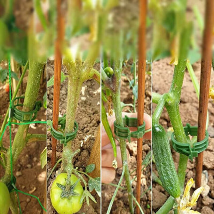 100 pcs Plant Support Clips Tomato Clips Ties Twine Vine Trellis Cages Climbing Plants Vegetables 2.5Cm.