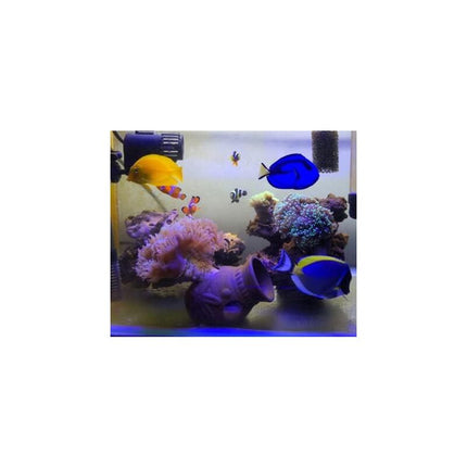 Aquarium Hideout, 2 Pieces, Aquarium Cave, Fish Hideout, Aquarium Shelter, Aquarium Decoration.