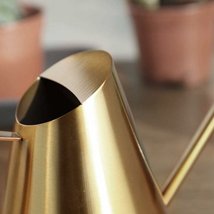 Stainless Steel Watering Can With Long Narrow Nozzle, Garden Plants Flower Tool, Ideal For Home, Garden, Balcony,.