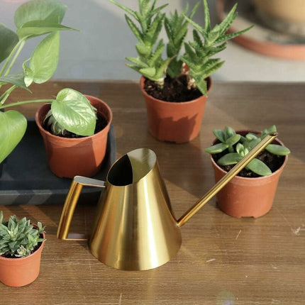 Stainless Steel Watering Can With Long Narrow Nozzle, Garden Plants Flower Tool, Ideal For Home, Garden, Balcony,.
