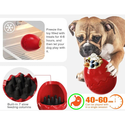 Pet Care Cartoz.