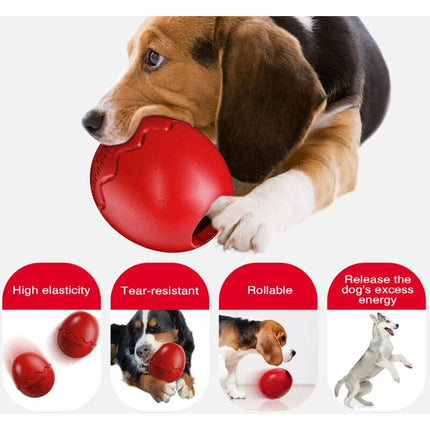Pet Care Cartoz.