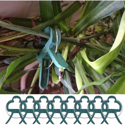 100 pcs Plant Clips, Spring Clips Plant Support For Tomatoes And Vine Vegetables.