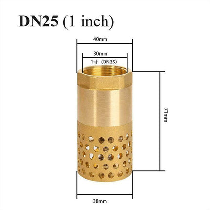 1 Inch Pump Check Valve - Foot Valve Strainer Check Valve (1 Inch).