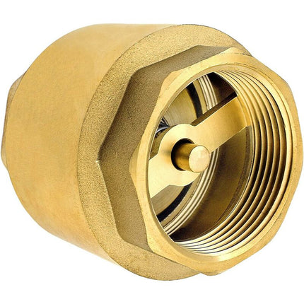 1/2 Inch Brass Check Valve High Quality Heavy Duty Rustproof Leakproof For Pump, Fountain, Washing Machine, Garden,.