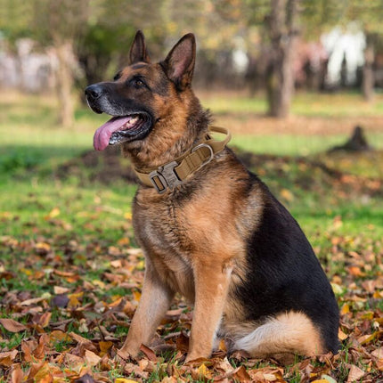 Tactical Dog Collar - Military Dog Collar With Control Handle, Adjustable Nylon Padded Dog Collar For Medium Large Dogs.