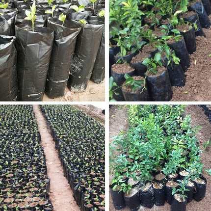 Home & Garden Cartoz.