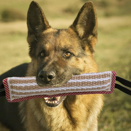 Dog Bite Toys, Dog Bite Toys, Dog Bite Toys, Jute Dog Bite Toys, Dog Training Toys, Interactive Toys For Medium To.