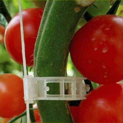 Home & Garden Cartoz.