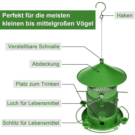 Pet Care Cartoz.