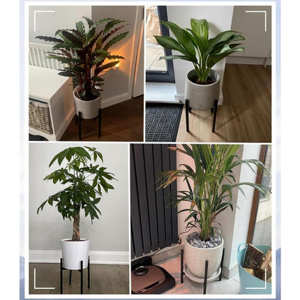 Home & Garden Cartoz.
