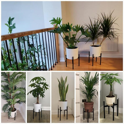 Home & Garden Cartoz.