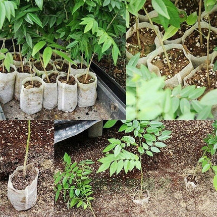Home & Garden Cartoz.