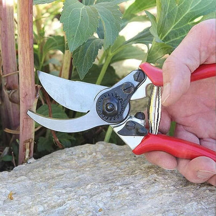 Home & Garden Cartoz.