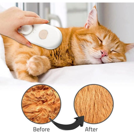 Pet Care Cartoz.