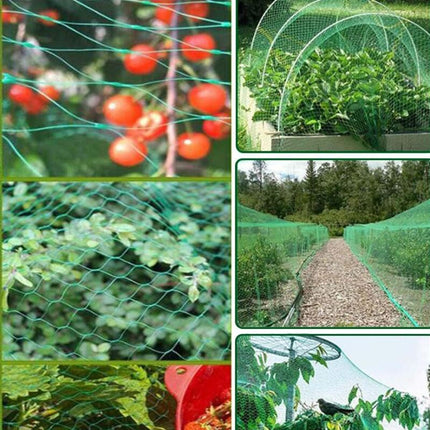 Home & Garden Cartoz.