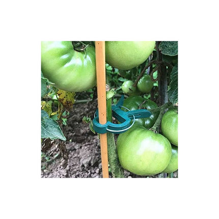 Home & Garden Cartoz.