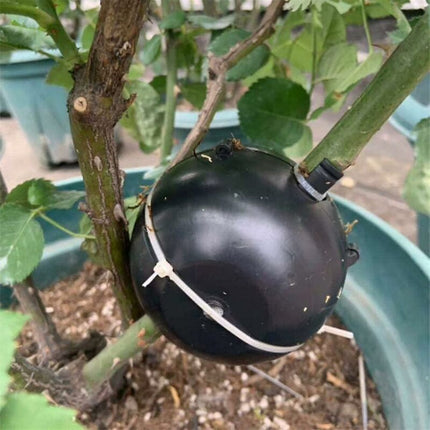 Plant ROoting Device Plant ROot Ball Plant ROoting Ball,Plant ROot Grafting Box For ROses,Trees,Fruit Shrubs.