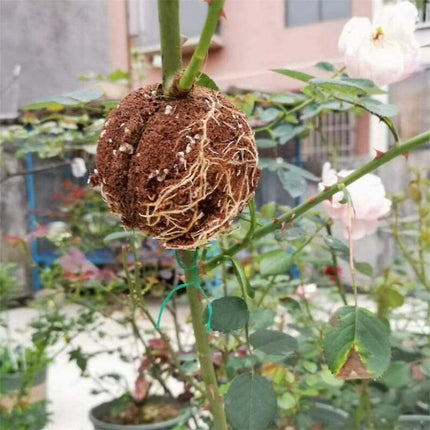 Plant ROoting Device Plant ROot Ball Plant ROoting Ball,Plant ROot Grafting Box For ROses,Trees,Fruit Shrubs.