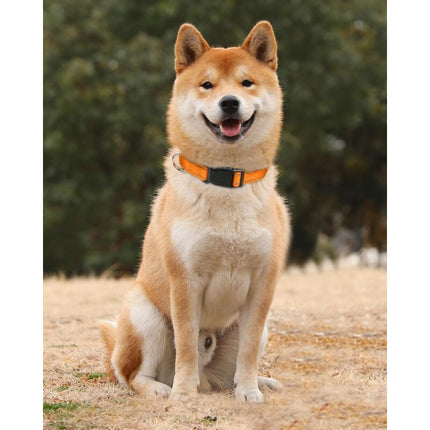 Dog Collar, Classic Adjustable Reflective Nylon Collar Suitable For Medium Dogs, Orange, 2.5Cm Width.