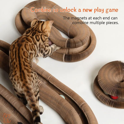 Magic Organ Interactive Scratching Toy - The Ultimate Interactive Mental And Physical Exercise For Indoor Cats.