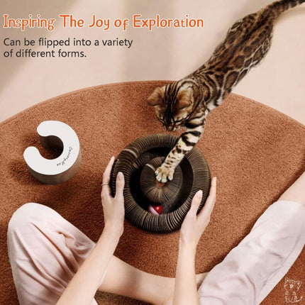 Magic Organ Interactive Scratching Toy - The Ultimate Interactive Mental And Physical Exercise For Indoor Cats.