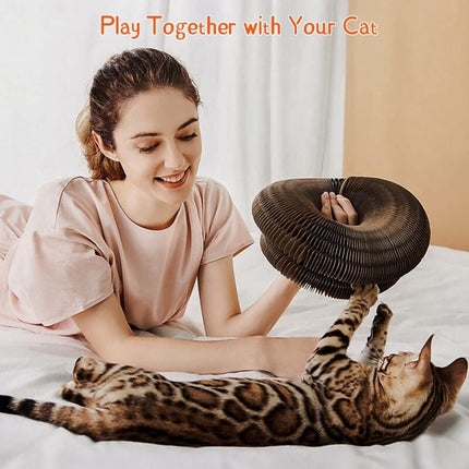 Magic Organ Interactive Scratching Toy - The Ultimate Interactive Mental And Physical Exercise For Indoor Cats.