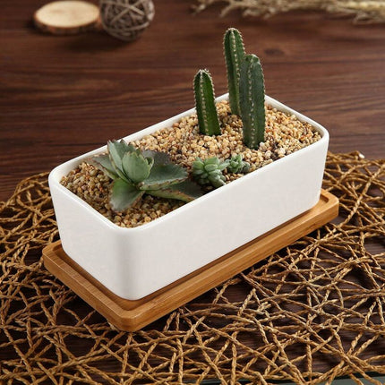 17Cm Ceramic Succulent Pot With Bamboo Tray White 2 pcs Set, Cactus Planter Cache Pot Jardinière Container Gift For.