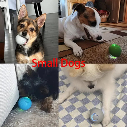 Interactive Dog Toy - Self-Rolling Dog Ball - Durable Automatic Dog Ball, Light Grey - 5.6 cm.