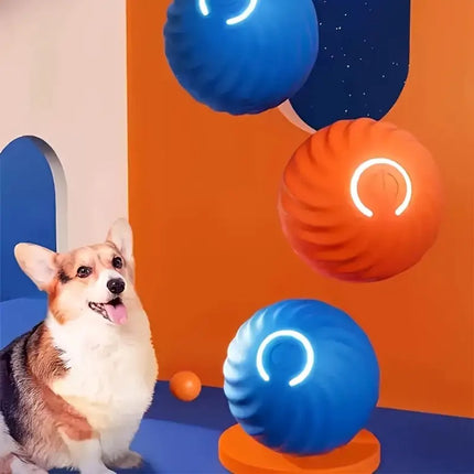 Pet Care.